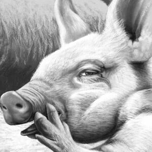 squealer animal farm