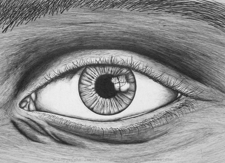 Drawing of an Eye