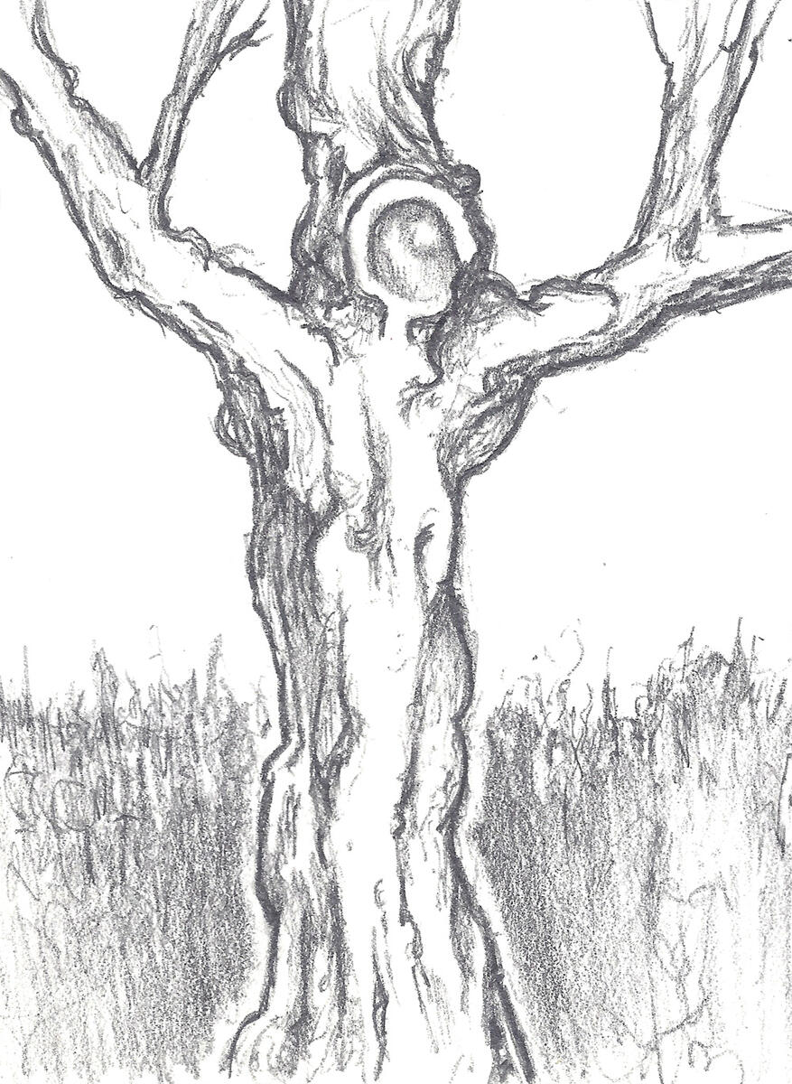 Drawing of a Tree that looks like the crucified Jesus